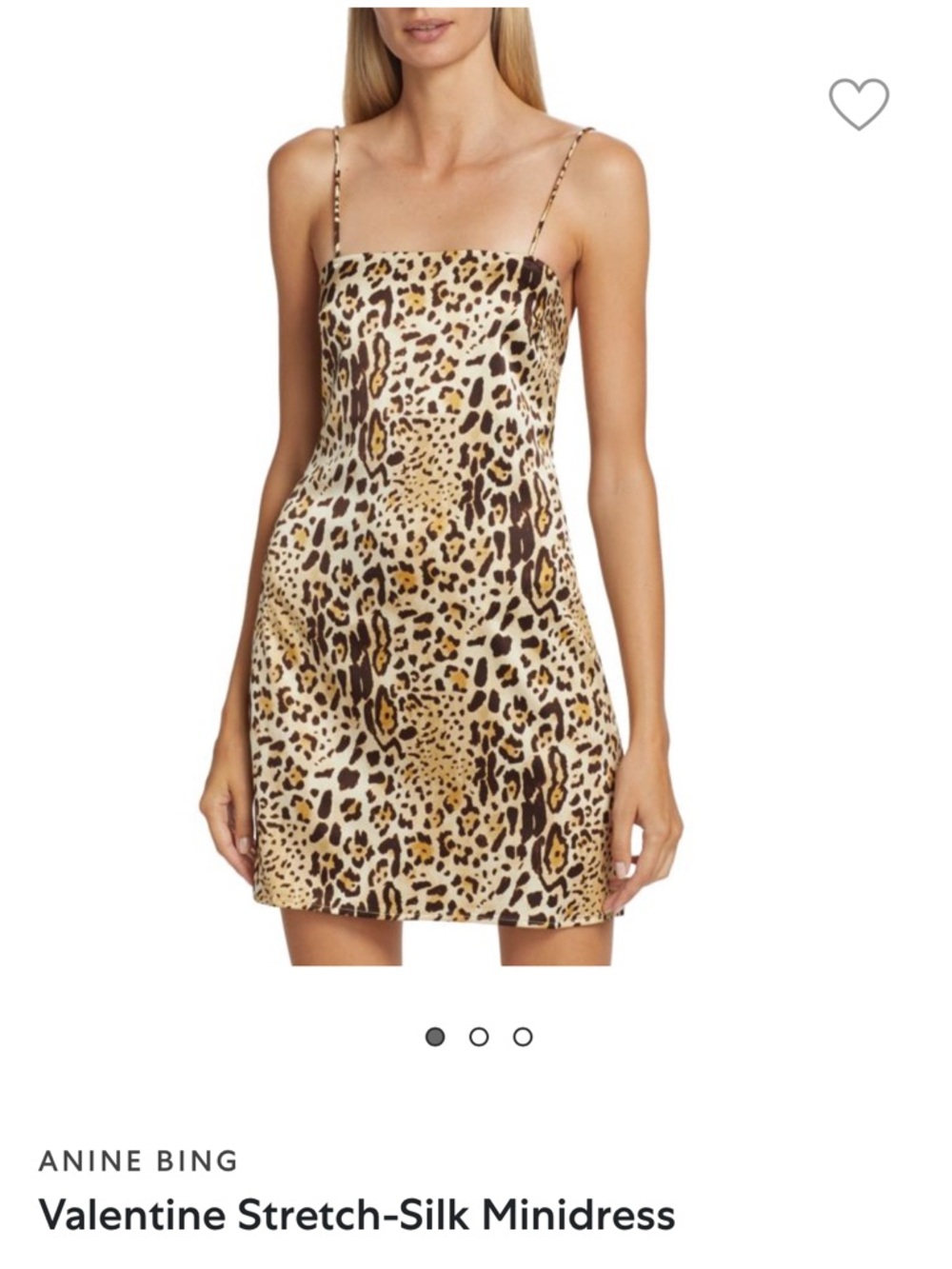 Anine Bing Leopard Mini Dress!